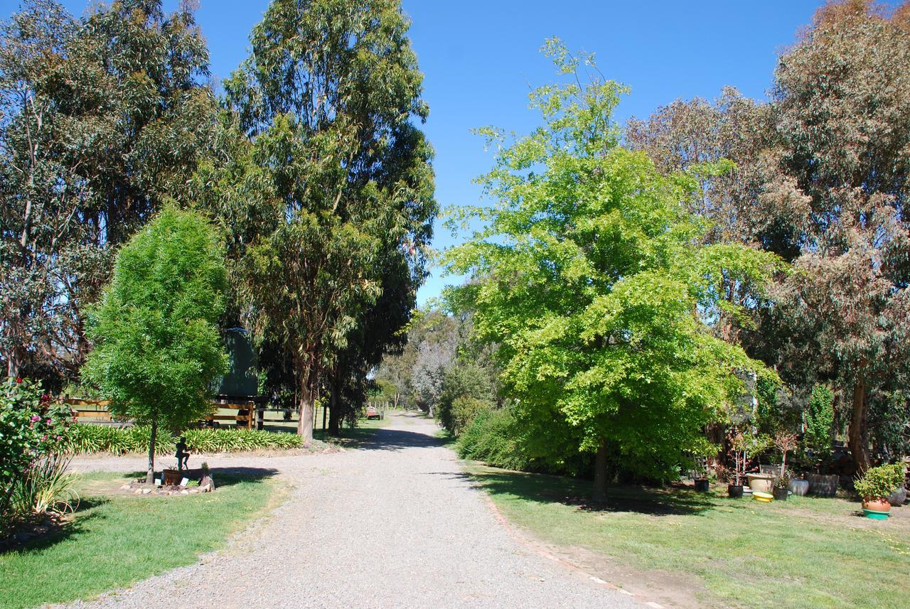 Bluegum Ridge Cottagesメリジグ エクステリア 写真